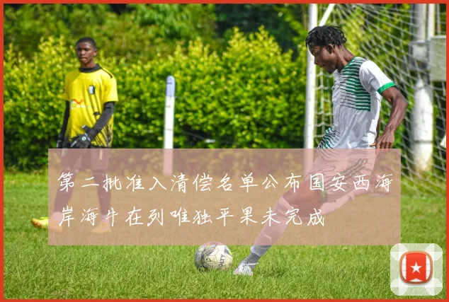 第二批准入清偿名单公布国安西海岸海牛在列唯独平果未完成