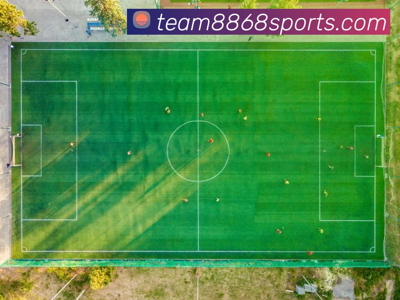 8868体育服务体系